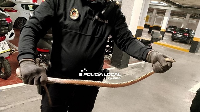 Mision Serpiente Cumplida