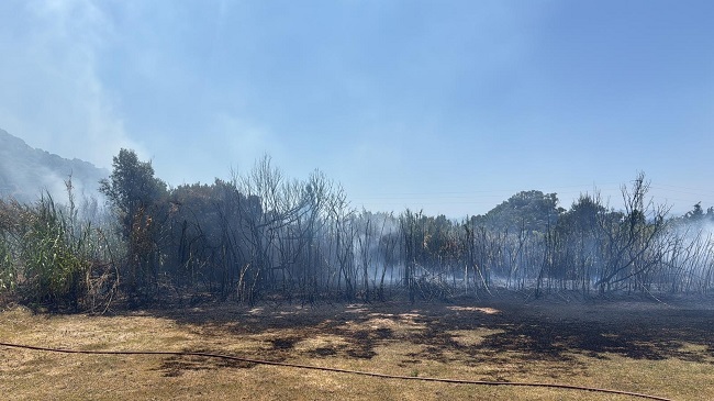 Incendio controlado en la zona de Punta Sur