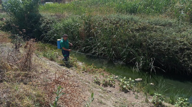 La Diputación de Cádiz colabora en la aplicación del Plan Municipal de Vigilancia y Control Vectorial