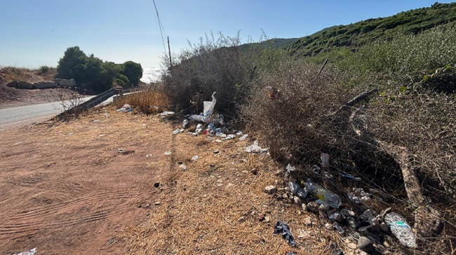 AGADEN denuncia el abandono y el riesgo de incendio en las cunetas y el carril bici del Parque Natural del Estrecho