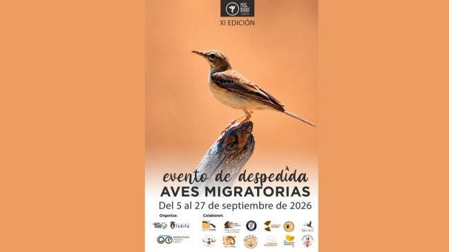 Programación del evento "Despedida de Aves Migratorias" que tendrá lugar en Tarifa desde el 5 hasta el 27 de septiembre 2026