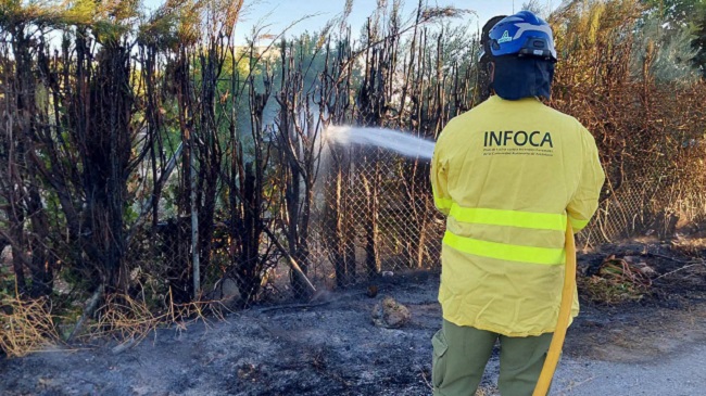 ESTABILIZADO el incendio del paraje "Los Lances".
